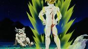 Gotenks and Goku exposed after the destruction of the hot tub.