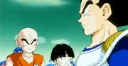 Vegeta preocupado por la Batalla a la que se tiene que enfrentar...