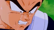 Vegeta piange.