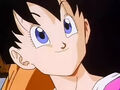 Videl