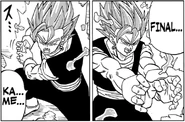 God Final Kamehameha in the manga