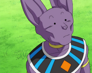 God Puar