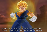 Super Vegetto BT3