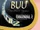 Buu: The Majin Sagas