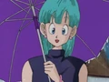 Bulma arrives