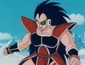Raditz10.jpg (66 kio)