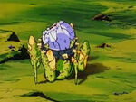 The Time Machine that was used by Cell