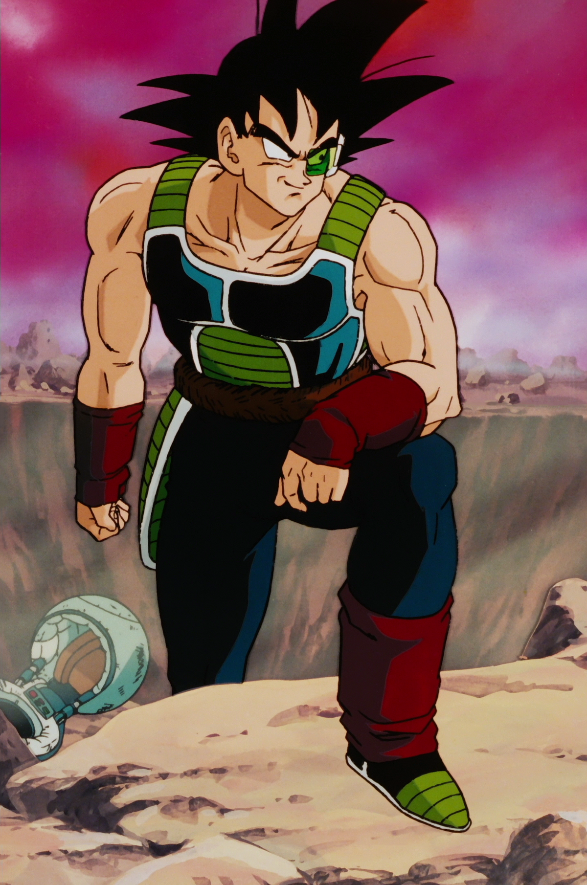 Bardock, Dragon Ball Wiki