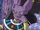 Userbox/Beerus