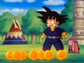 The Dragon Balls gathered together