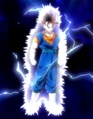 Vegito Barrier