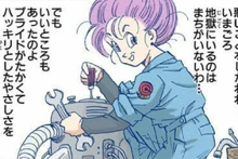 Bulma del futuro 3