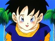 Videl en el Templo de Kami