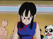 Chi-Chi, mad at Goku