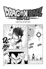 Dragon Ball Super Volume #2 The Winning Universe Is Decided! (2017