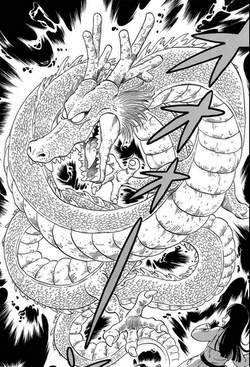 Shenron Dragon Ball Wiki Fandom