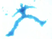 Cell muere.jpg (24 kB)