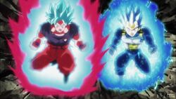 Goku SSJ Blue Kaioken x20 and Vegeta SSJ Blue Evolution vs GoD Toppo and  Merged Zamasu - Dragon Ball Forum - Neoseeker Forums