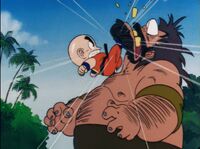 Dragonball Z Gray Classic Majin Boo Saga World Martial Arts Tournament Sz S B35
