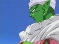 Piccolo