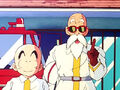 Krillin and Roshi