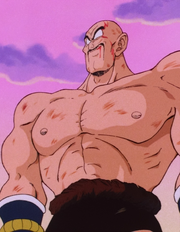 Nappa, Dragon Ball Wiki