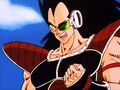 Raditz4