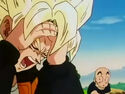 Goku after Krillin threw a rock at him
