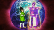 Vegeta III and Vegeta IV