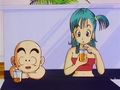 Krillin and Bulma