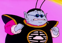 King Kai becomes frustrated