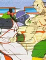 Tien Vs Tao!.jpg (14 KB) Tien punches Tao