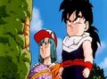 Bulma and Gohan