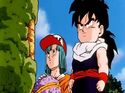 Bulma and Gohan