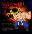 Max Power Master Roshi