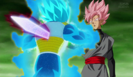 Black Goku vs Vegeta rose 