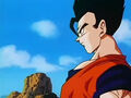 Dbz248(for dbzf.ten.lt) 20120503-18225256