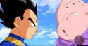 Vegeta and Majin Buu