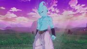 XV2 - Pure Majin Future Warrior