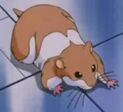 Criceto - dragon ball gt