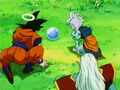 Dbz245(for dbzf.ten.lt) 20120418-17304646