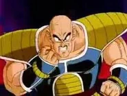 Nappa10.jpg (9 kB)