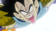 Vegeta infuriato