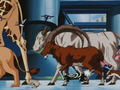 Animals in Dragon Ball GT