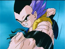 Dbz251-28