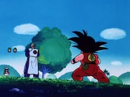 Goku vs Tao