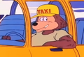 Taxi Driving Fur