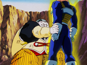 19VegetaAbsorb