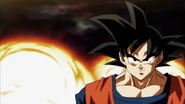 Goku entusiasmado por el combate.