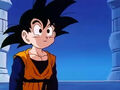 Dbz242(for dbzf.ten.lt) 20120404-16004272